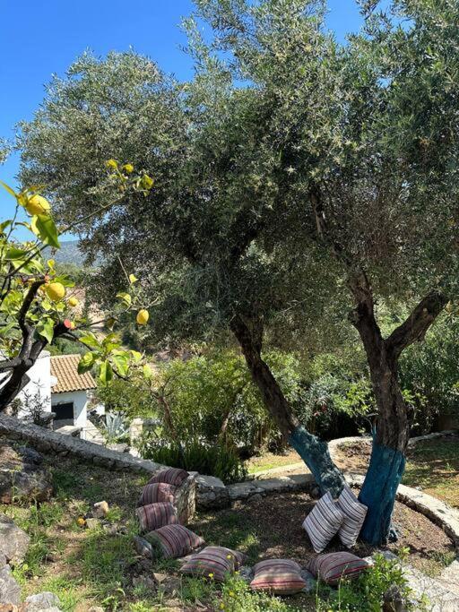 فيلا Mount Minis - Casa Bruno Sívota المظهر الخارجي الصورة